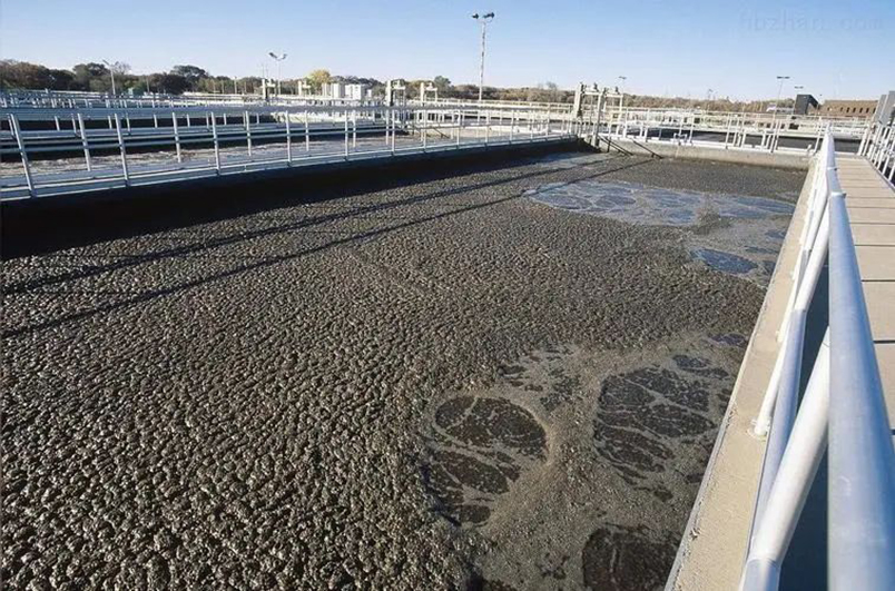 城市污泥連續(xù)式炭化爐物料